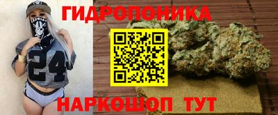 молекула духа Ангарск