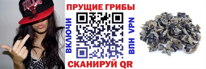 Псилоцибиновые грибы GOLDEN TEACHER  Саранск 