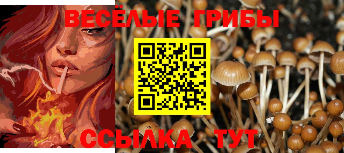 Галлюциногенные грибы Cubensis Саранск