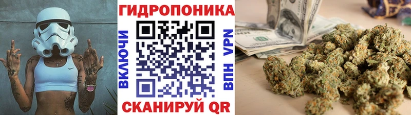 Бошки Шишки MAZAR Саранск